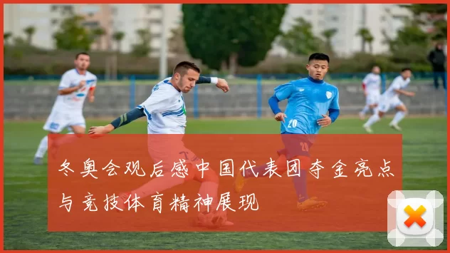 冬奥会观后感中国代表团夺金亮点与竞技体育精神展现