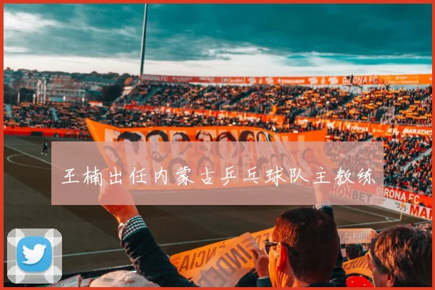 王楠出任内蒙古乒乓球队主教练